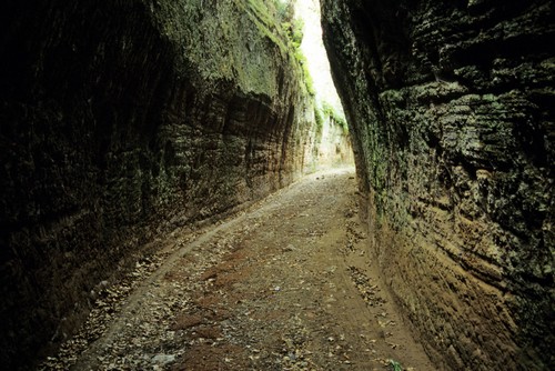 Via cava